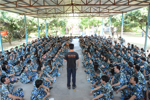 金馬爭(zhēng)霸，學(xué)院席地而坐