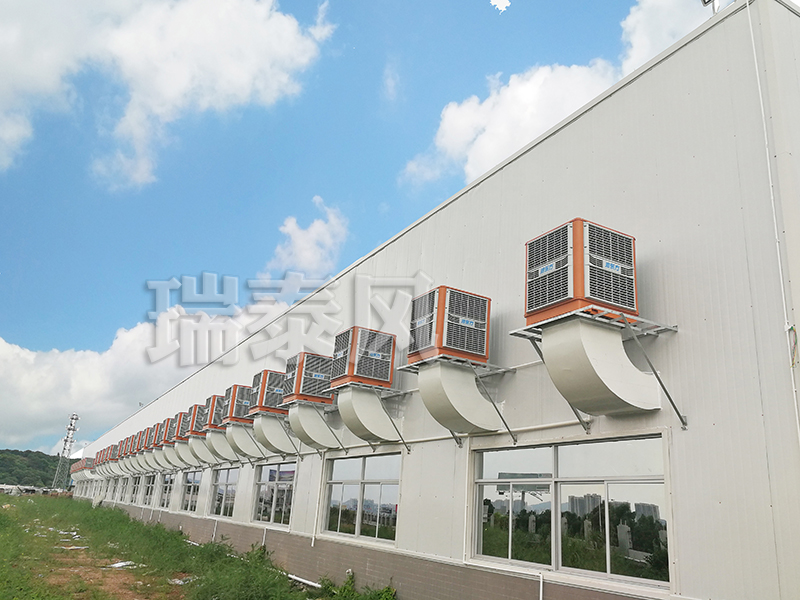 茂名環(huán)?？照{,茂名冷風機,茂名環(huán)?？照{廠家,茂名冷風機廠家瑞泰風安裝案例