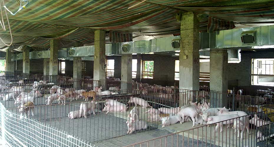 瑞昌環(huán)?？照{(diào)