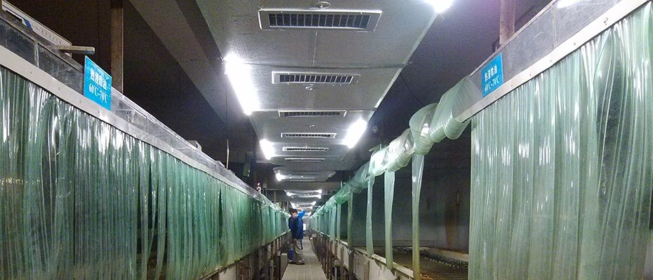 東莞環(huán)?？照{(diào)工程