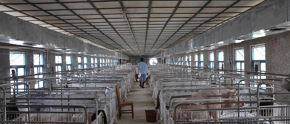 東莞環(huán)?？照{(diào)安裝